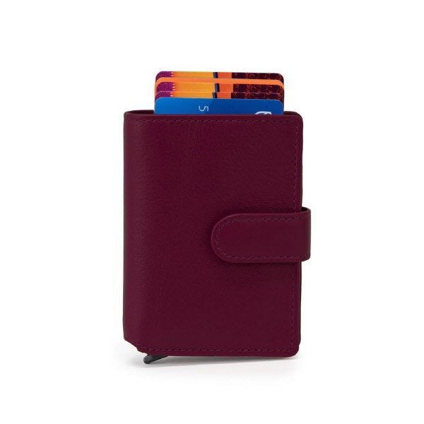 Porta carte Axel Plus - prugna