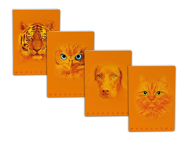 Maxiquaderno Monocromo Orange - rigatura 1R