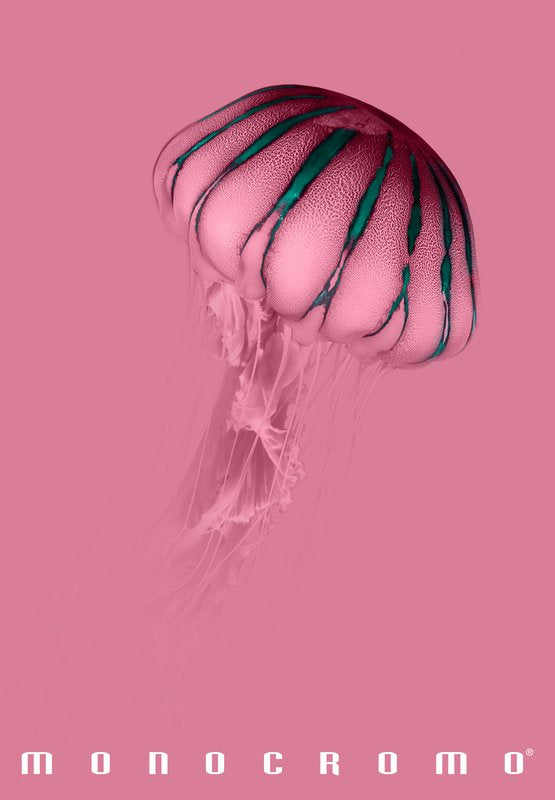 Maxiquaderno Monocromo Pink - rigatura 0Q