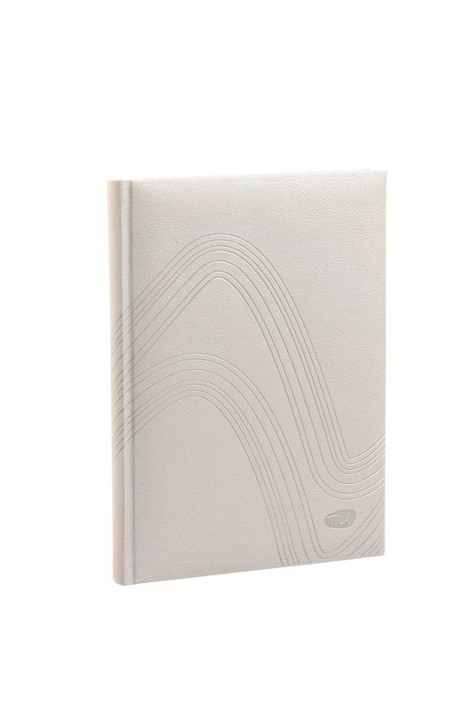 Agenda giornaliera 12 mesi - 2027 - 17,1x24 cm - ghiaccio