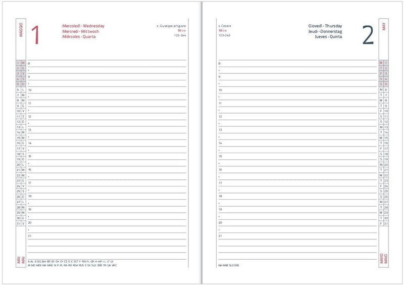 Agenda giornaliera 12 mesi - 2027 - 17,1x24 cm - ghiaccio