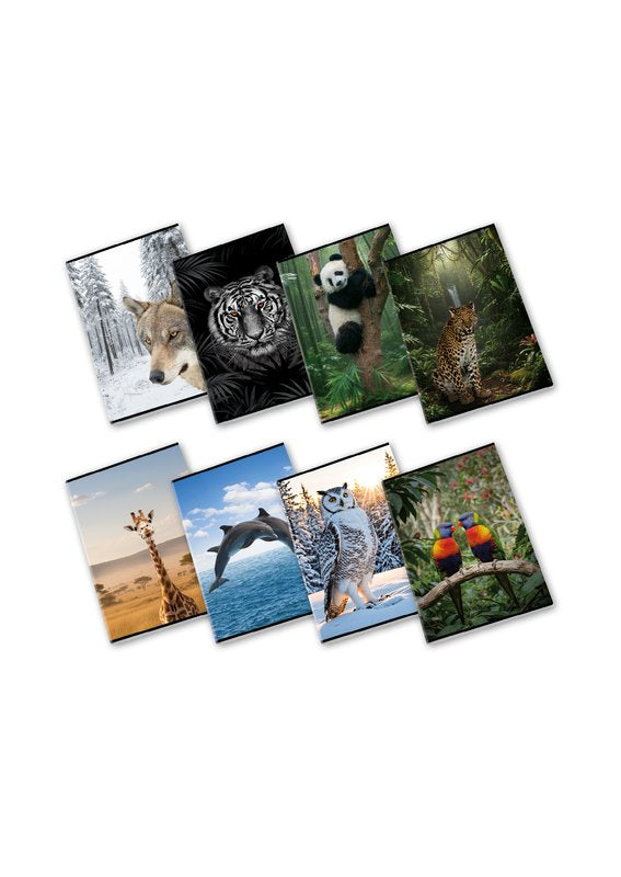 Maxiquaderno WILD - Rigatura 5M - Quadretto da 5mm - 80 g - A4 - copertine assortite