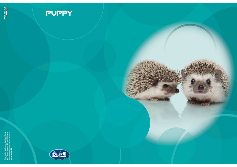Maxiquaderno PUPPY - Rigatura 5M - Quadretto da 5mm - 80 g - A4 - copertine assortite
