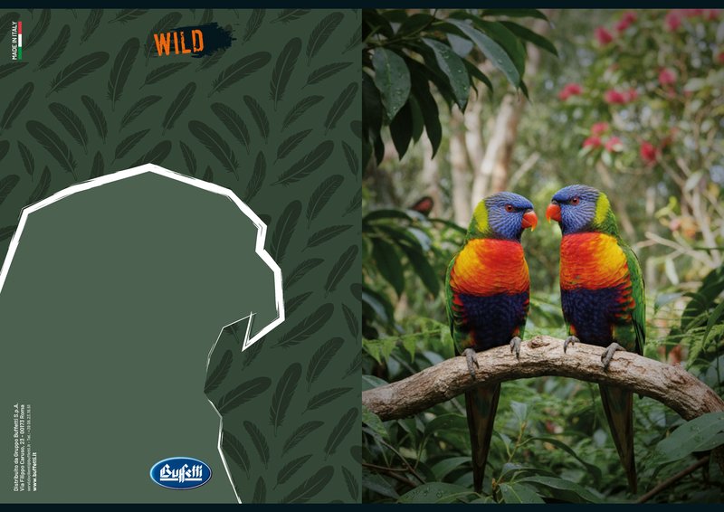 Maxiquaderno WILD - Rigatura 4M - Quadretto da 4mm - 80 g - A4 - copertine assortite