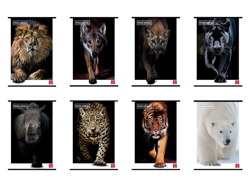 Maxi Quaderno Pigna Animal  - 0Q - Quadretto da 5mm con margine