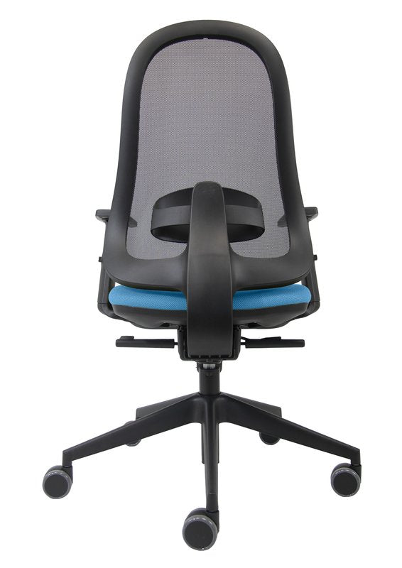 Sedia Formula celeste