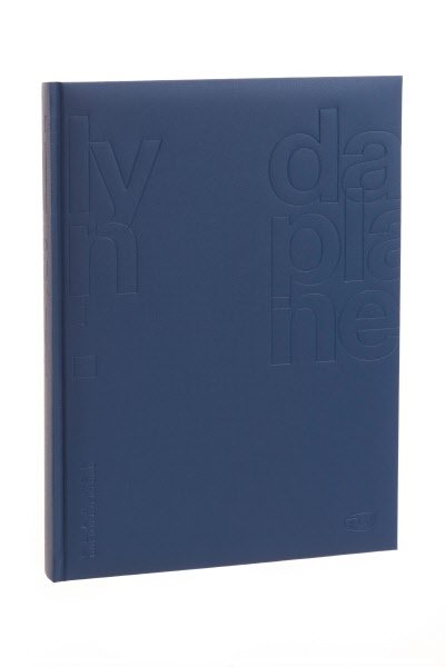 Agenda giornaliera 12 mesi - 2027 - 21x29,7 cm - blu