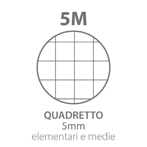 Ricambi Pigna  - Rigatura 5M - Quadretto elementari e medie - 80 fogli - 80 g