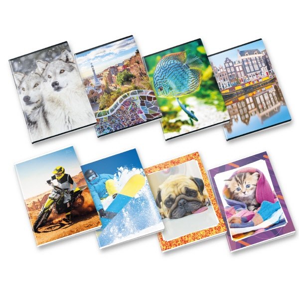 Quaderno Mix collezioni - Rigatura 4M - Quadretto elementari e medie - 80 g - A5 - copertine assortite