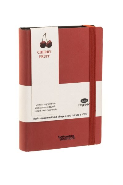 Agenda Accademica 16 mesi settembre-dicembre - tracciato misto giornaliera/settimanale in carta ecologica - interno  fisso -  2026/2027  - 11x16,5 cm - elastico di chiusura - ciliegia