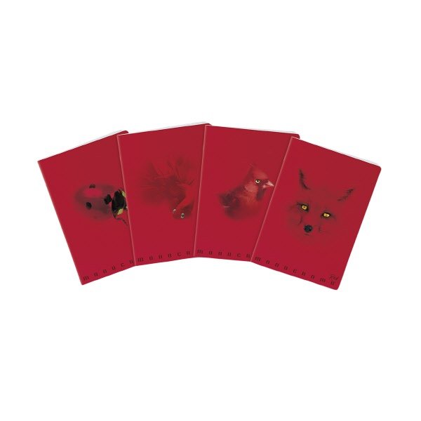 Maxiquaderni Monocromo Red - Rigatura 4M - Quadretto elementari e medie - 100 g - copertine assortite